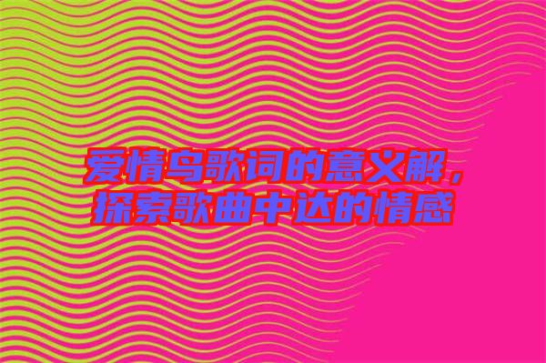 愛情鳥歌詞的意義解，探索歌曲中達(dá)的情感