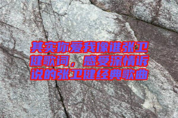 其實(shí)你愛(ài)我像誰(shuí)張衛(wèi)健歌詞，感受深情訴說(shuō)的張衛(wèi)健經(jīng)典歌曲