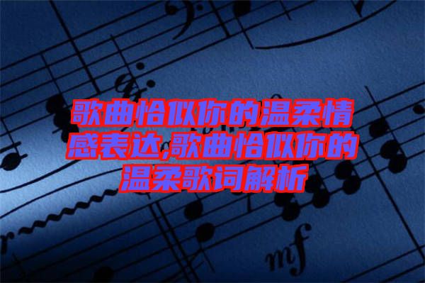 歌曲恰似你的溫柔情感表達,歌曲恰似你的溫柔歌詞解析