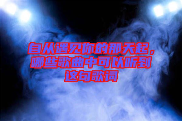 自從遇見你的那天起，哪些歌曲中可以聽到這句歌詞