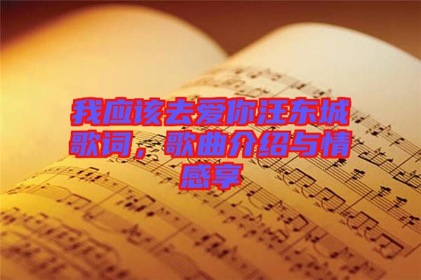 我應該去愛你汪東城歌詞，歌曲介紹與情感享