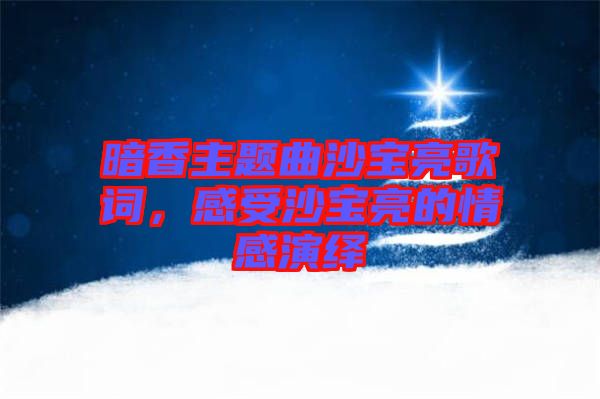 暗香主題曲沙寶亮歌詞，感受沙寶亮的情感演繹