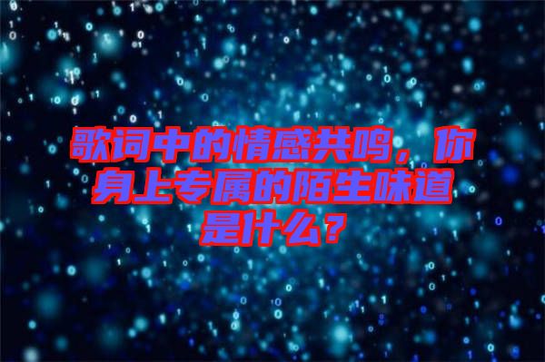 歌詞中的情感共鳴，你身上專屬的陌生味道是什么？