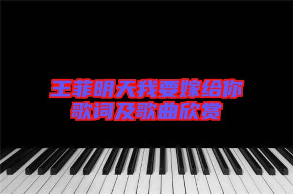 王菲明天我要嫁給你歌詞及歌曲欣賞