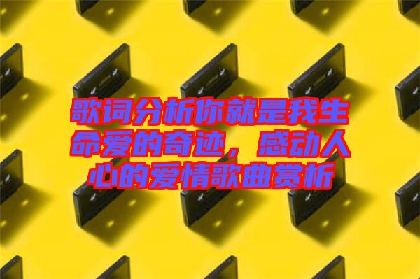 歌詞分析你就是我生命愛的奇跡，感動人心的愛情歌曲賞析