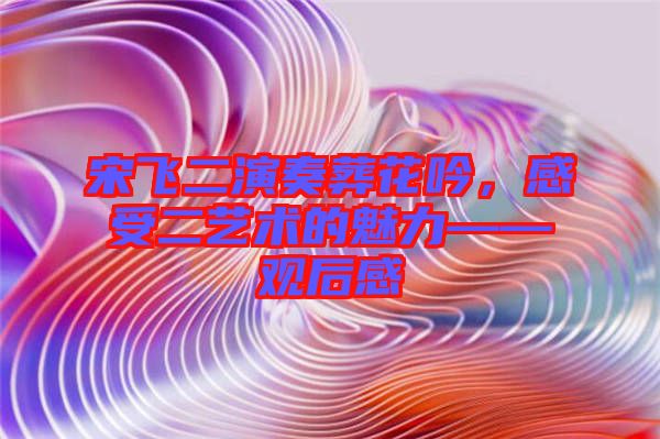 宋飛二演奏葬花吟，感受二藝術的魅力——觀后感