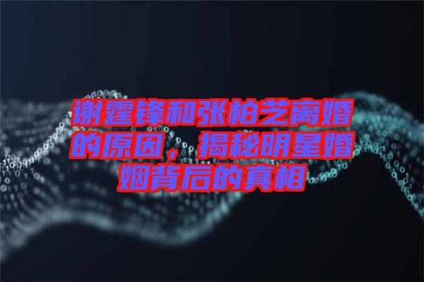 謝霆鋒和張柏芝離婚的原因，揭秘明星婚姻背后的真相