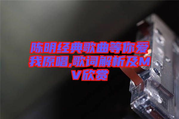 陳明經典歌曲等你愛我原唱,歌詞解析及MV欣賞