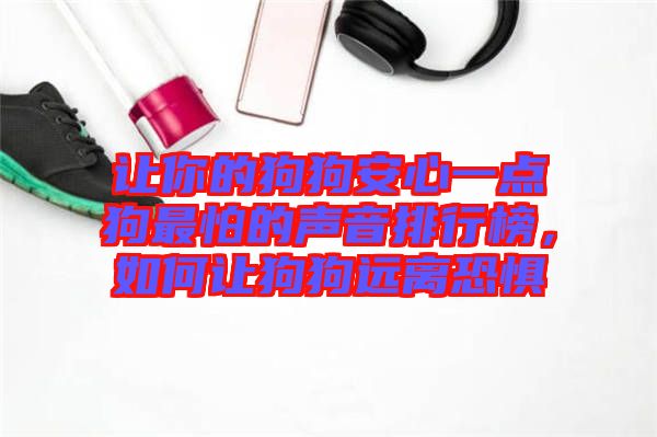 讓你的狗狗安心一點狗最怕的聲音排行榜，如何讓狗狗遠離恐懼